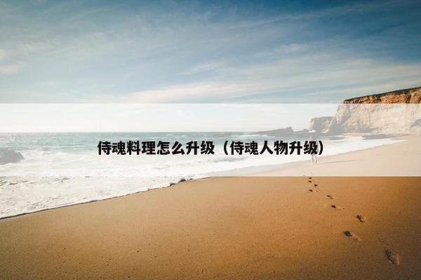 侍魂料理怎么升级（侍魂人物升级）