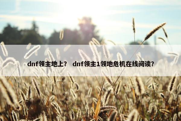 dnf领主地上？ dnf领主1领地危机在线阅读？