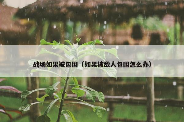 战场如果被包围（如果被敌人包围怎么办）