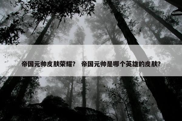 帝国元帅皮肤荣耀？ 帝国元帅是哪个英雄的皮肤？