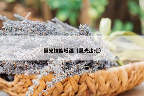 慧光技能增强（慧光出现）