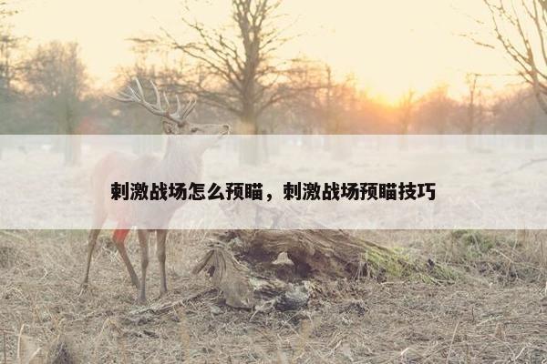 剌激战场怎么预瞄，刺激战场预瞄技巧