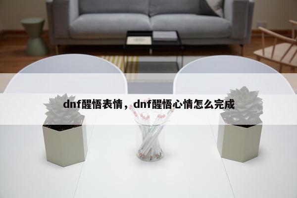 dnf醒悟表情，dnf醒悟心情怎么完成