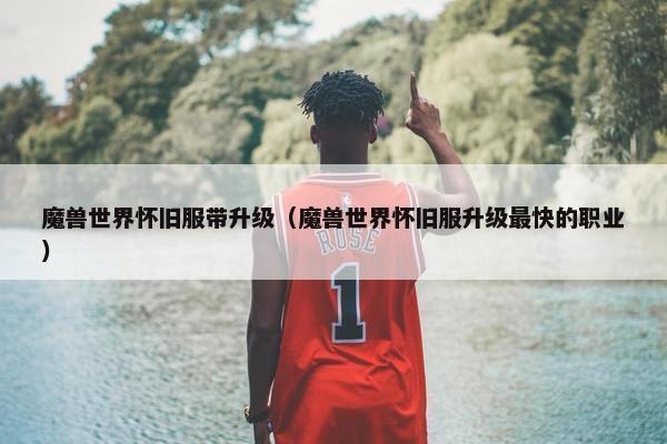 魔兽世界怀旧服带升级（魔兽世界怀旧服升级最快的职业）