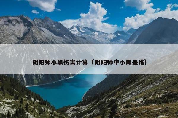 阴阳师小黑伤害计算（阴阳师中小黑是谁）