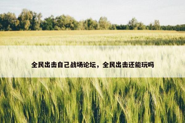 全民出击自己战场论坛，全民出击还能玩吗