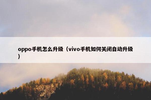 oppo手机怎么升级（vivo手机如何关闭自动升级）
