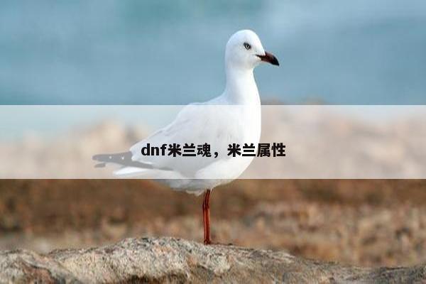 dnf米兰魂，米兰属性