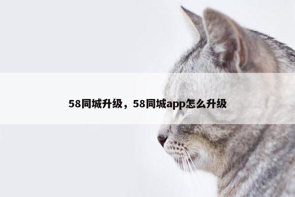 58同城升级，58同城app怎么升级