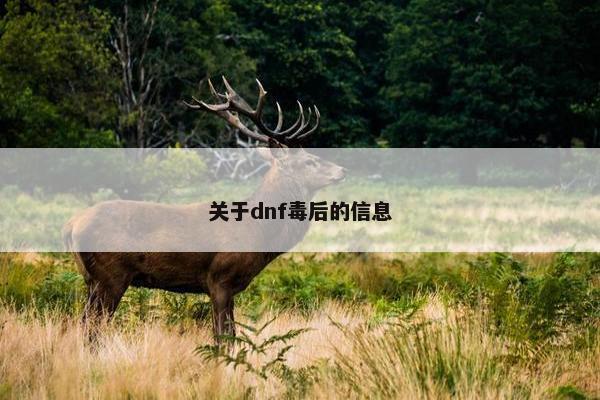 关于dnf毒后的信息