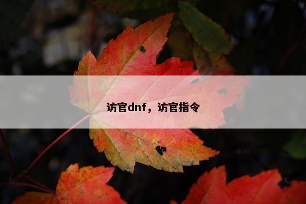 访官dnf，访官指令