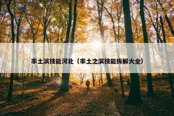率土滨技能河北（率土之滨技能拆解大全）