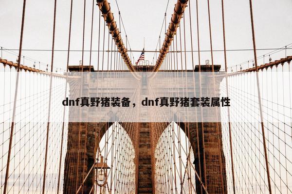 dnf真野猪装备，dnf真野猪套装属性