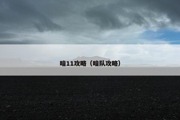 暗11攻略（暗队攻略）