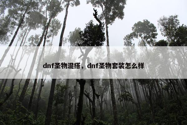 dnf圣物混搭，dnf圣物套装怎么样