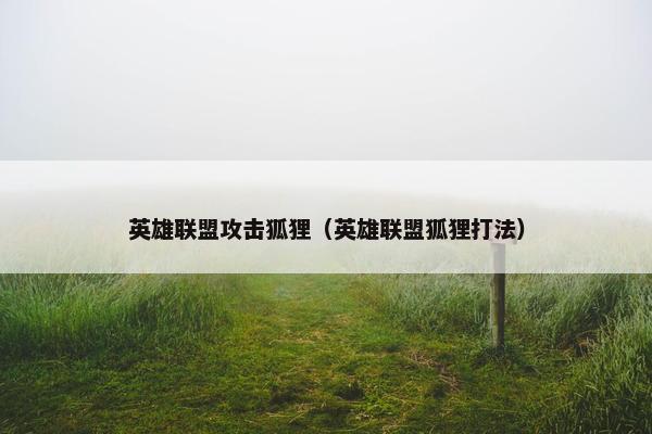 英雄联盟攻击狐狸（英雄联盟狐狸打法）