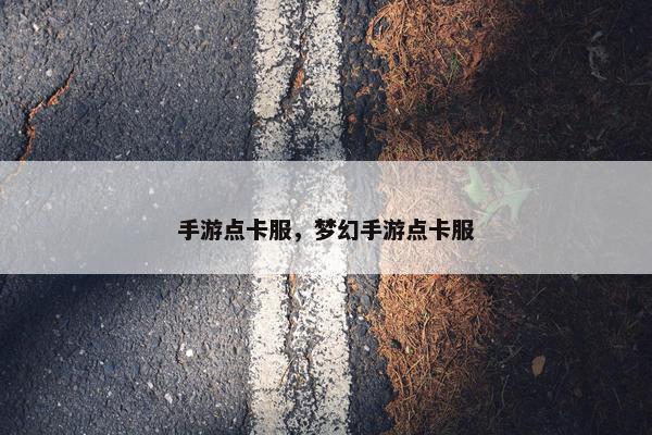 手游点卡服，梦幻手游点卡服