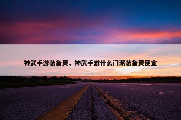 神武手游装备灵，神武手游什么门派装备灵便宜