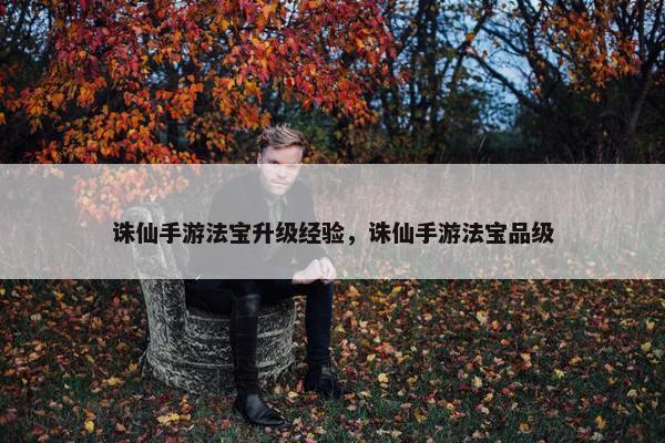 诛仙手游法宝升级经验，诛仙手游法宝品级