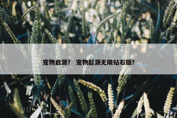 宠物启源？ 宠物起源无限钻石版？