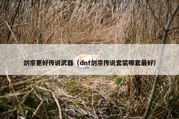 剑宗更好传说武器（dnf剑宗传说套装哪套最好）