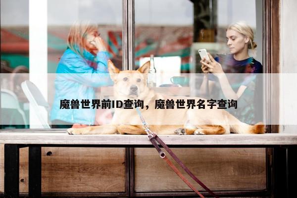 魔兽世界前ID查询，魔兽世界名字查询