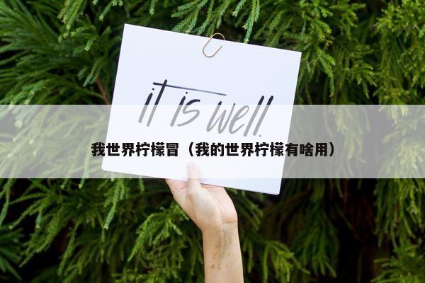 我世界柠檬冒（我的世界柠檬有啥用）