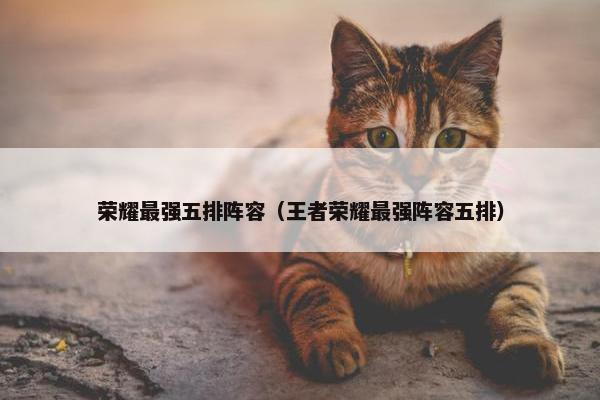 荣耀最强五排阵容（王者荣耀最强阵容五排）