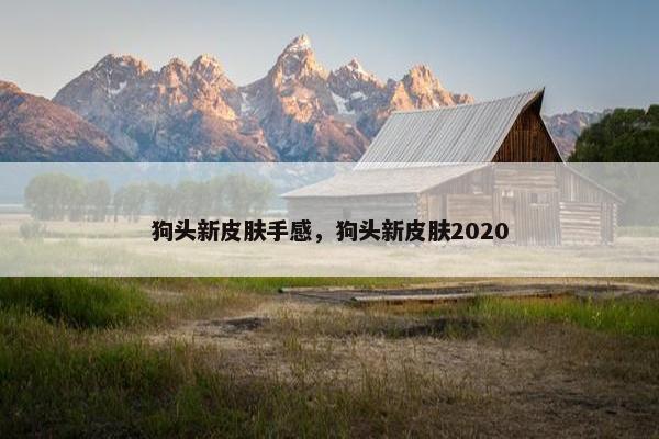 狗头新皮肤手感，狗头新皮肤2020