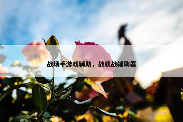 战场手游戏辅助，战就战辅助器