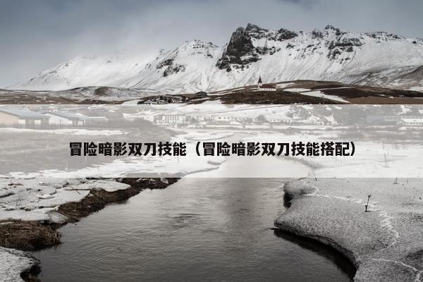 冒险暗影双刀技能（冒险暗影双刀技能搭配）