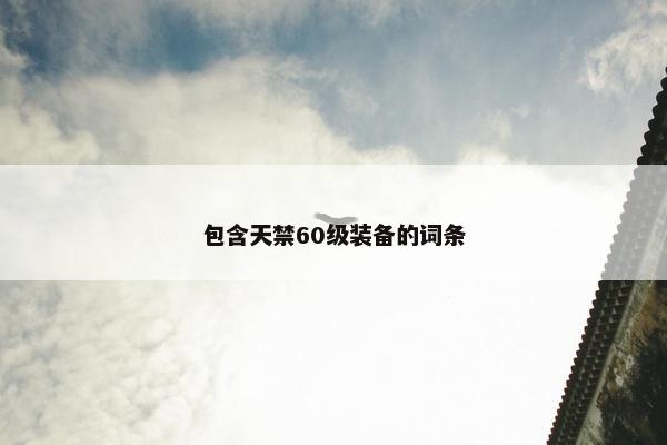 包含天禁60级装备的词条