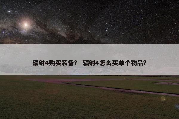 辐射4购买装备？ 辐射4怎么买单个物品？