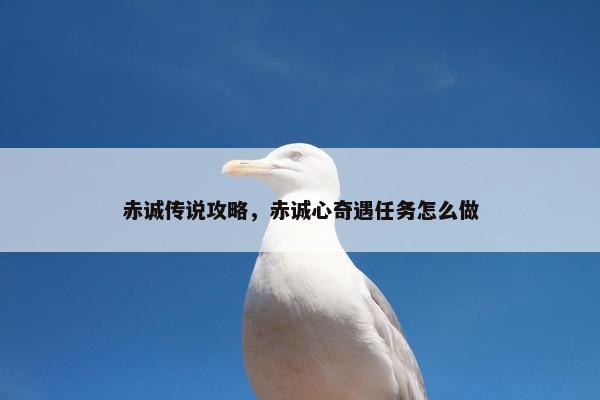 赤诚传说攻略，赤诚心奇遇任务怎么做