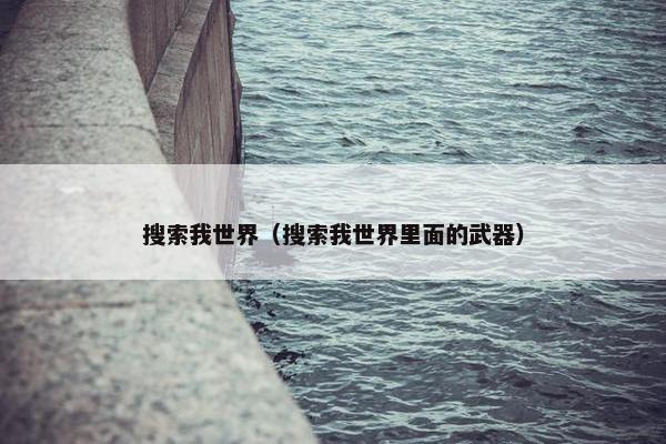 搜索我世界（搜索我世界里面的武器）