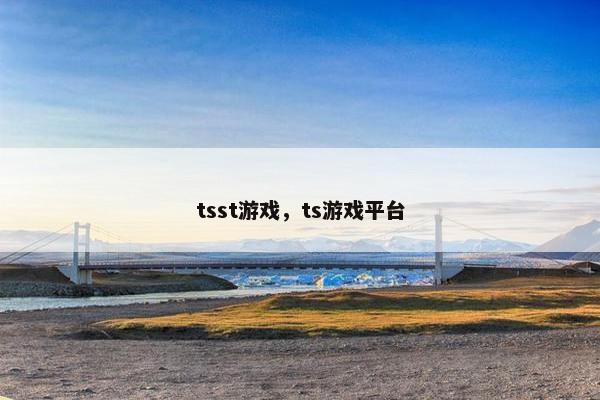 tsst游戏，ts游戏平台
