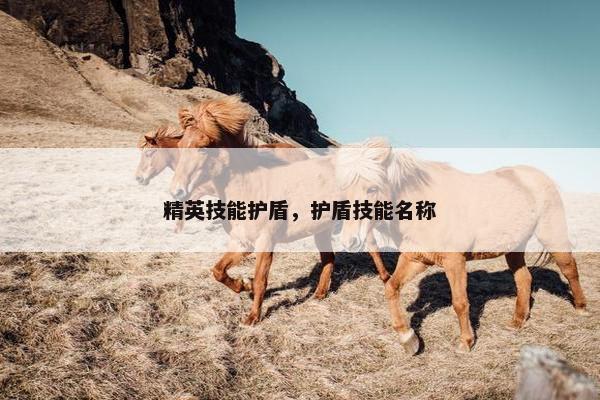 精英技能护盾，护盾技能名称
