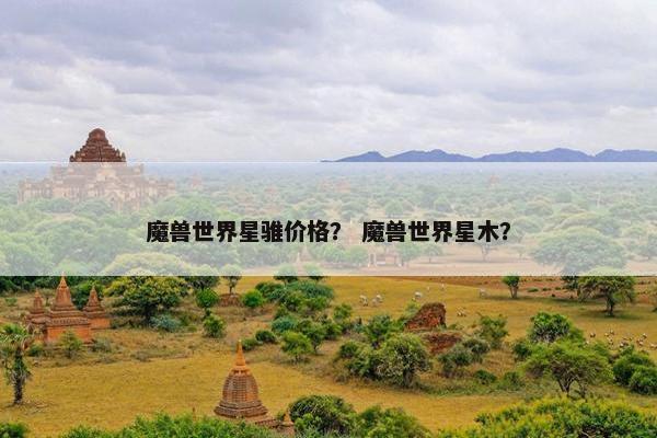 魔兽世界星骓价格？ 魔兽世界星木？