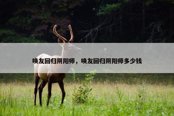 唤友回归阴阳师，唤友回归阴阳师多少钱