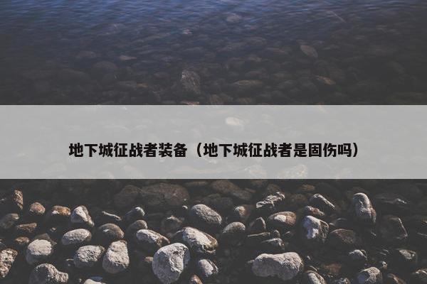 地下城征战者装备（地下城征战者是固伤吗）