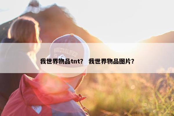 我世界物品tnt？ 我世界物品图片？