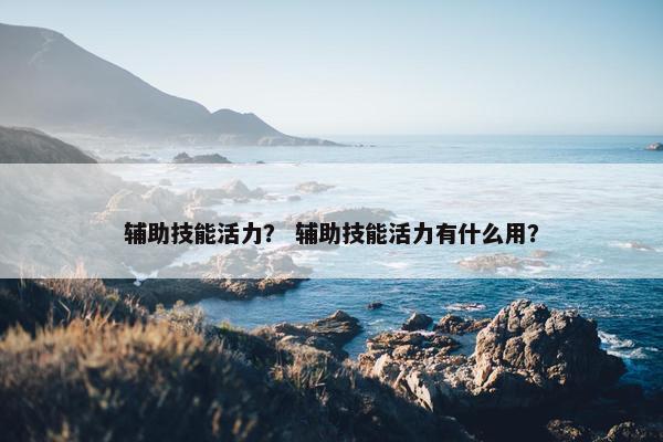 辅助技能活力？ 辅助技能活力有什么用？