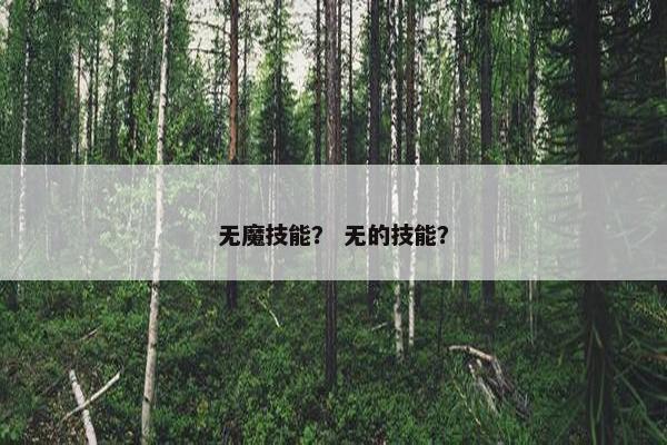 无魔技能？ 无的技能？