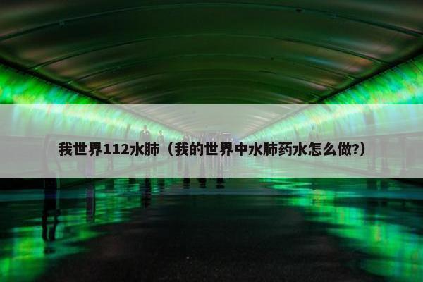 我世界112水肺（我的世界中水肺药水怎么做?）