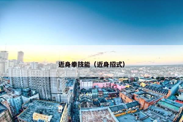 近身拳技能（近身招式）