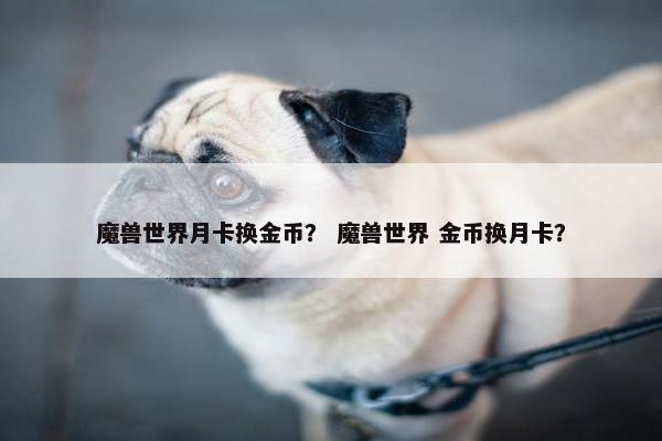 魔兽世界月卡换金币？ 魔兽世界 金币换月卡？