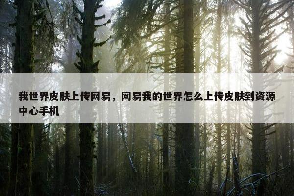 我世界皮肤上传网易，网易我的世界怎么上传皮肤到资源中心手机