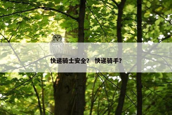 快递骑士安全？ 快递骑手？