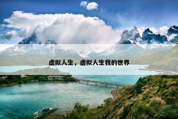 虚拟人生，虚拟人生我的世界