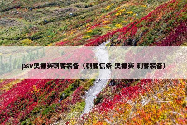 psv奥德赛刺客装备（刺客信条 奥德赛 刺客装备）